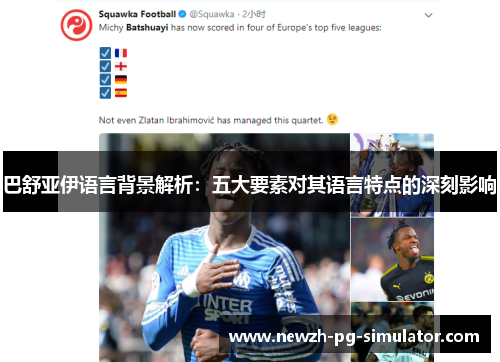 巴舒亚伊语言背景解析:五大要素对其语言特点的深刻影响 巴舒亚伊语言背景解析:五大要素对其语言特点的深刻影响