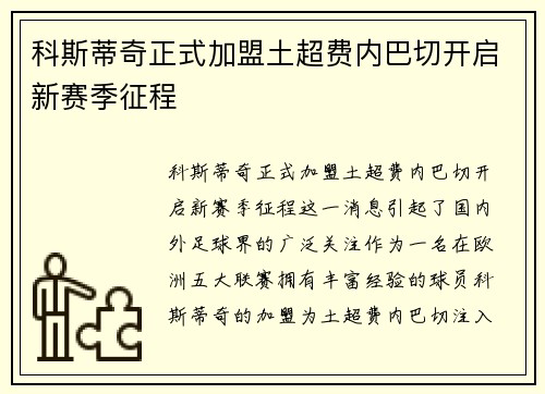 科斯蒂奇正式加盟土超费内巴切开启新赛季征程
