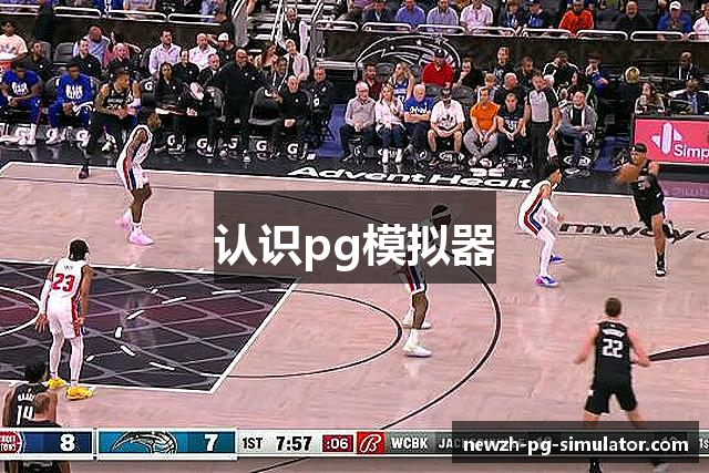 认识pg模拟器
